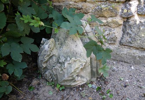 Iconographie - Chapiteau sculpté dans le jardin médiéval