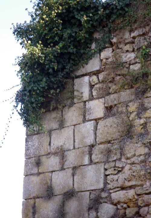 Iconographie - Mur d'enceinte du donjon
