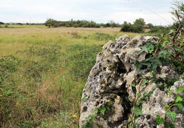 Iconographie - L'îlot calcaire des Rochelles