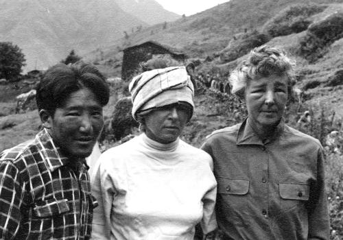 Iconographie - Ascension du Cho Oyu - Colette Le Bret piquée par des frelons