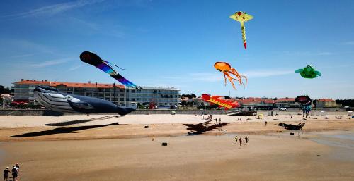 Iconographie - Festival de cerf-volants