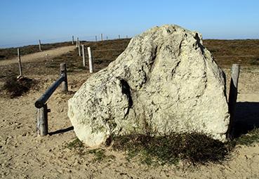 Iconographie - Mégalithe de la Grand'Côte