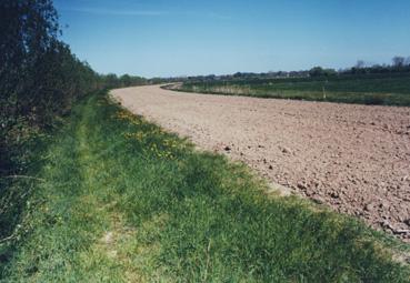 Iconographie - Digue