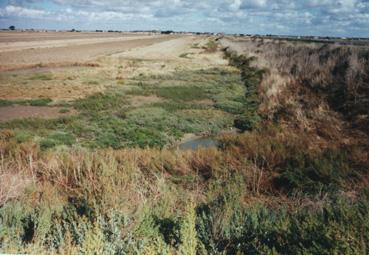 Iconographie - Polder