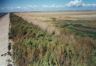 Iconographie - Polder