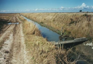 Iconographie - Polder