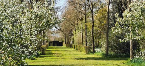 Iconographie - Le bois du logis de Chaligny