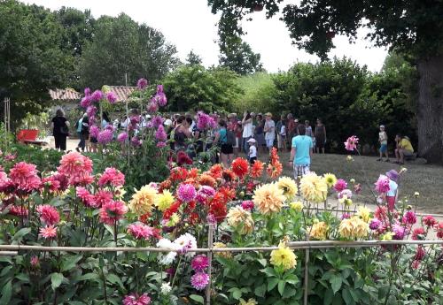 Iconographie - Début de la visite guidée au Potager Extraordinaire