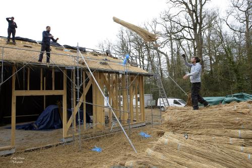 Iconographie - Chantier au Potager Extraordinaire