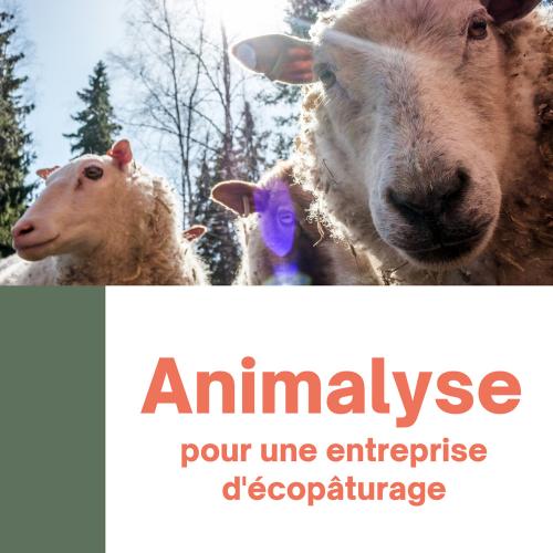 Iconographie - Promotion d'Animalyse