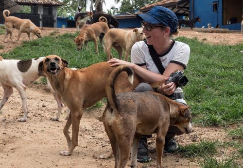 Iconographie - Anne-Laure Meynckens et des chiens au Panama