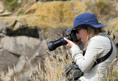 Iconographie - Anne-Laure Meynckens photographe