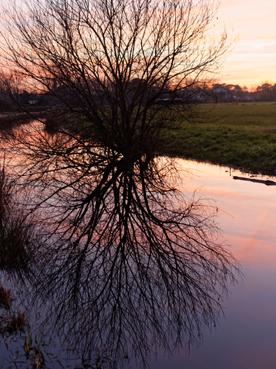 Iconographie - Fossé