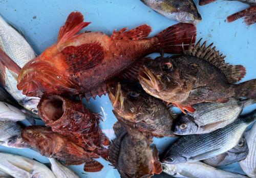 Iconographie - Marchands de poissons au Vieux Ports