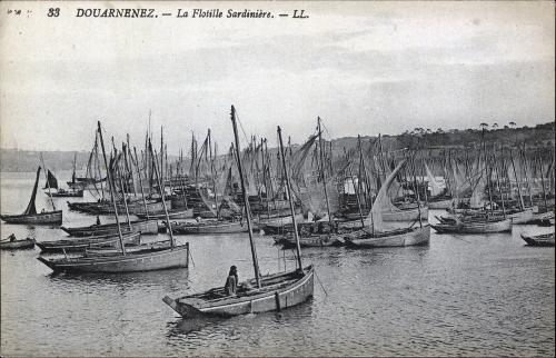 Iconographie - Douarnenez - La flottille sardinière