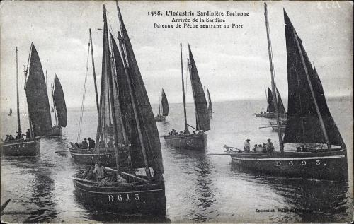 Iconographie - L'industrie sardinière bretonne. Arrivée de la sardine. Bateaux de pêche rentrant au port