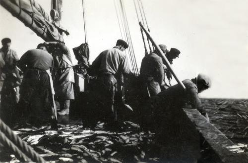 Iconographie - Pêche au maquereaux sur Bernard et Monique