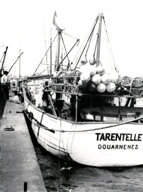 Iconographie - Le chalutier Tarentelle (DZ3669) à quai
