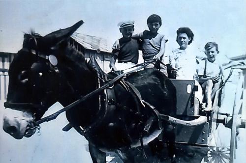 Iconographie - Florent Barranger et ses locations de chevaux sur la plage