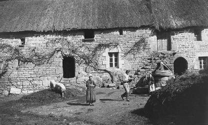 Iconographie - Cours de ferme