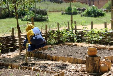 Iconographie - Jardin potager