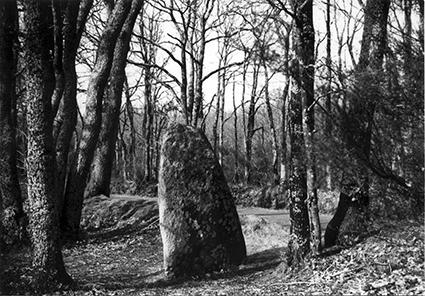 Iconographie - Menhir de la Pierre Levée