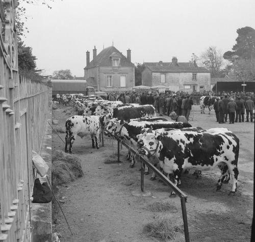 Iconographie - Comice agricole