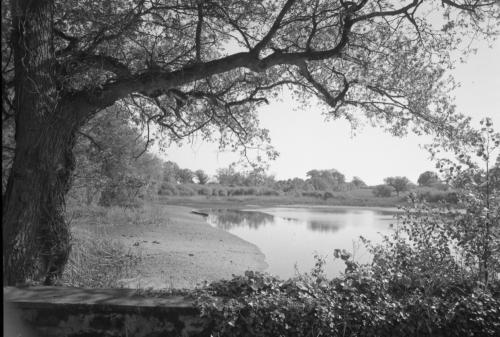 Iconographie - Bords de Loire