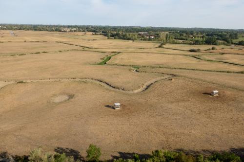 Iconographie - Marais de Sallertaine