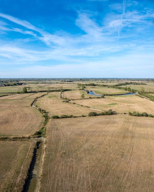 Iconographie - Marais de Sallertaine