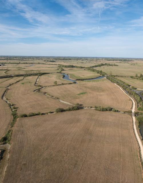 Iconographie - Marais de Sallertaine