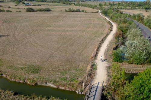 Iconographie - Piste cyclable dans le marais de Sallertaine