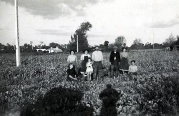 Iconographie - Vendanges aux Etrivières