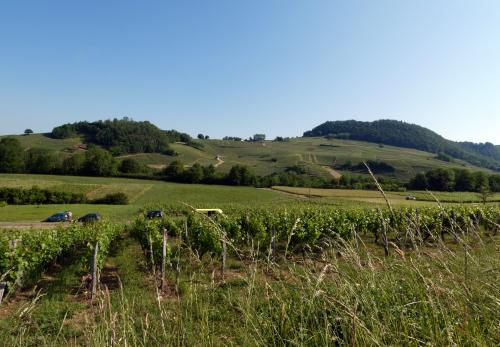 Iconographie - Coteau du vignoble