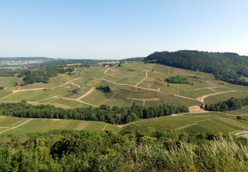 Iconographie - Coteau du vignoble