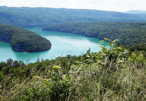 Iconographie - L'Ain près du barrage du Lac de Vouglans