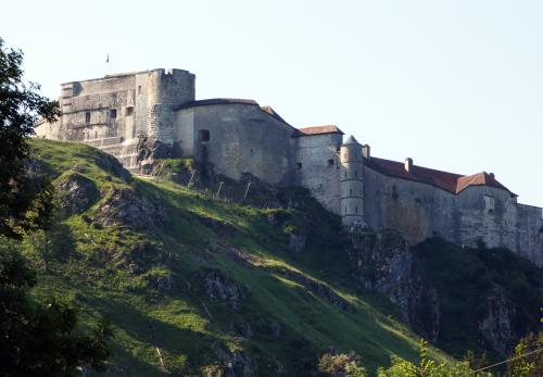 Iconographie - Le Château de Joux