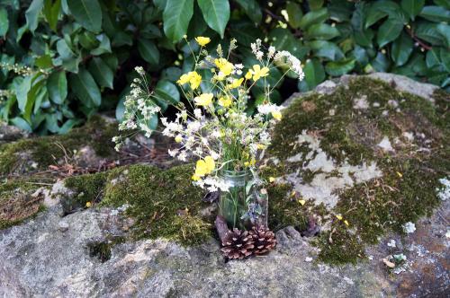 Iconographie - Bouquet à la fontaine miraculeuse de Fréligné