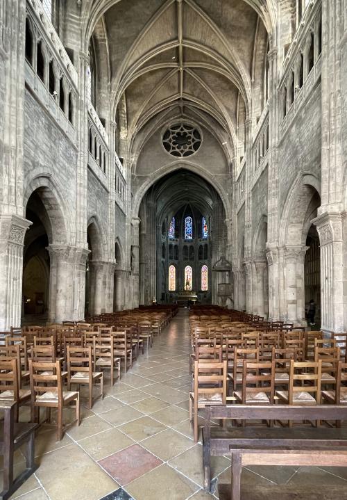 Iconographie - La nef de la cathédrale Saint-Vincent