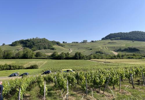 Iconographie - Coteau du vignoble