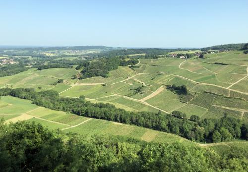 Iconographie - Coteau du vignoble