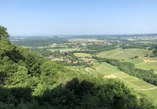 Iconographie - Coteau du vignoble