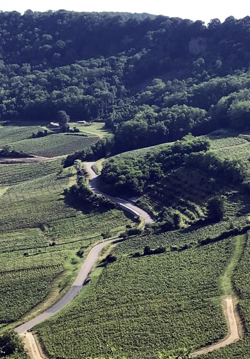 Iconographie - Coteau du vignoble