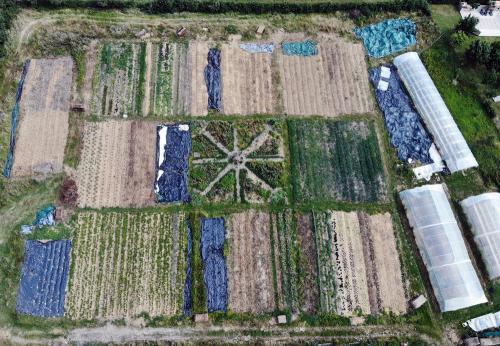 Iconographie - Les Jardins de Corinne - Le jardin