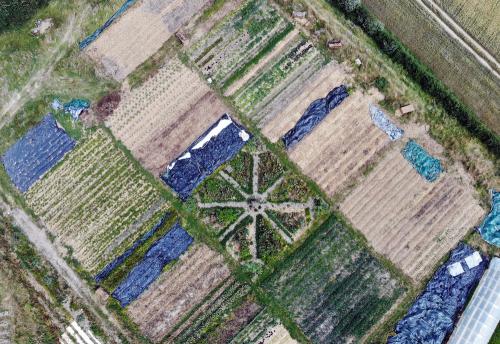 Iconographie - Les Jardins de Corinne - Le jardin