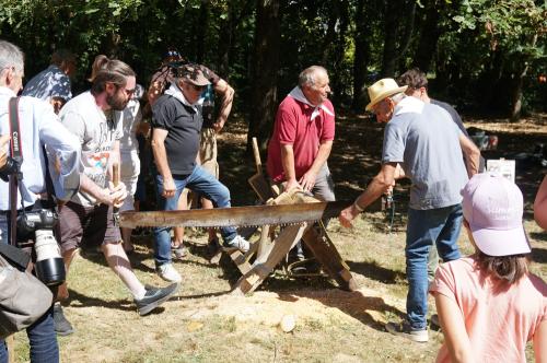 Iconographie - Geste et savoir-faire traditionnels proposés par Patrimoine et savoirs du bocage