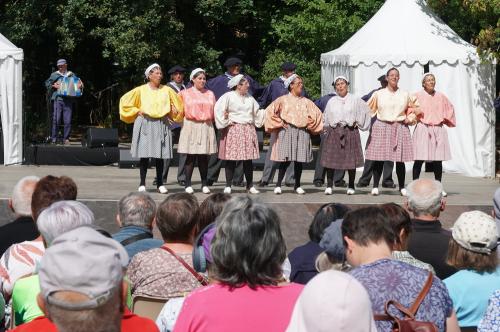 Iconographie - Le groupe Bise-dur, spectacle folklorique lors de Ol é la Vendée
