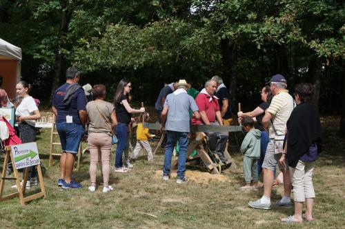 Iconographie - Geste et savoir-faire traditionnels proposés par Patrimoine et savoirs du bocage