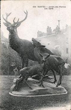 Iconographie - Jardin des Plantes - Les cerfs