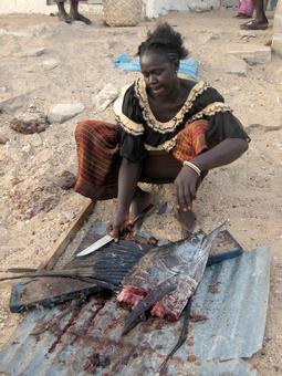 Iconographie - Poissonnerie africaine